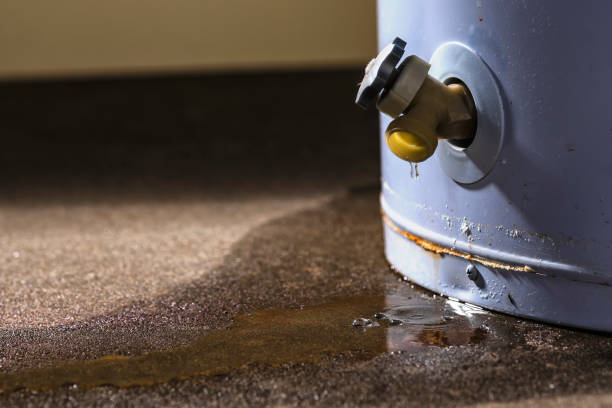 Best Professional water damage repair  in Bear Valley Springs, CA