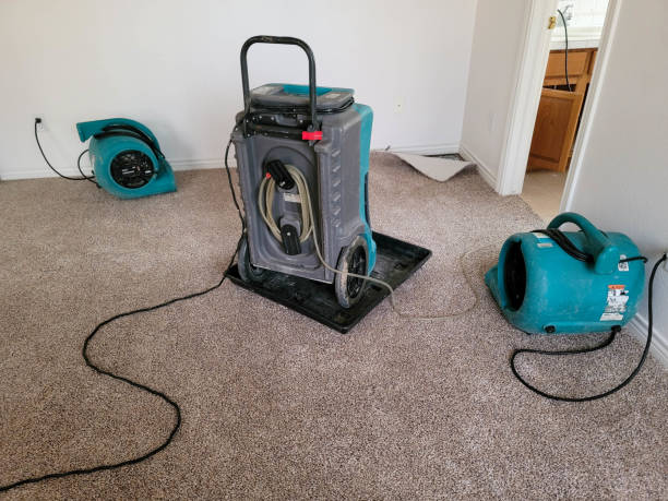Best Water damage contractors near me  in Bear Valley Springs, CA