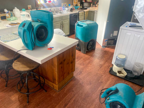 Best 24-hour water damage restoration  in Bear Valley Springs, CA