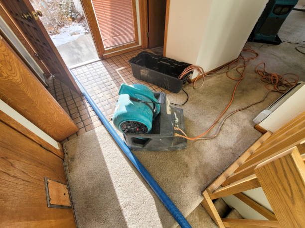 Water damage restoration experts in Bear Valley Springs, CA