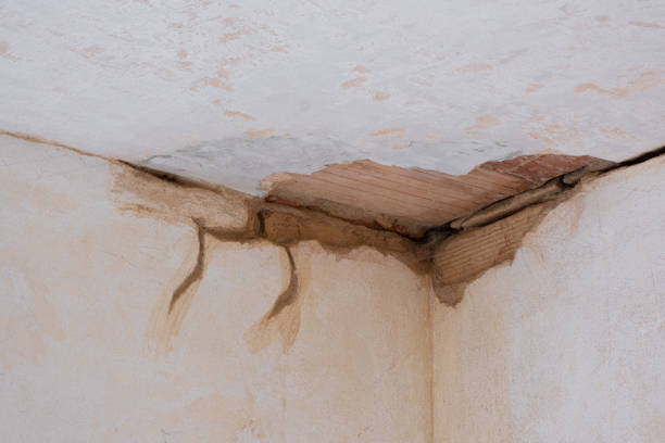 Best Water damage restoration near me  in Bear Valley Springs, CA