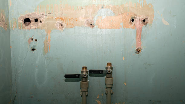 Best Residential water damage restoration  in Bear Valley Springs, CA